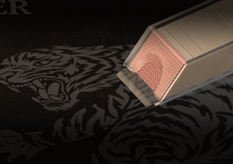 First Person Dragon Tiger